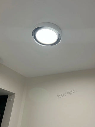 Modern Iron Ceiling Light – Integrated LED Surface Mount Fixture for Interior Lighting