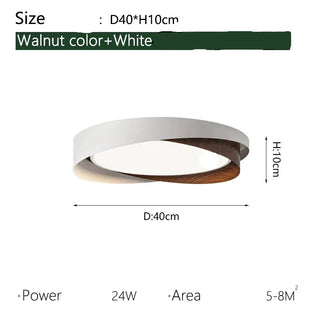 Modern Iron Ceiling Light – Integrated LED Surface Mount Fixture for Interior Lighting