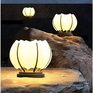 Outdoor Solar Lamp – Stainless Steel LED Garden Solar Light | Eco Friendly Lighting