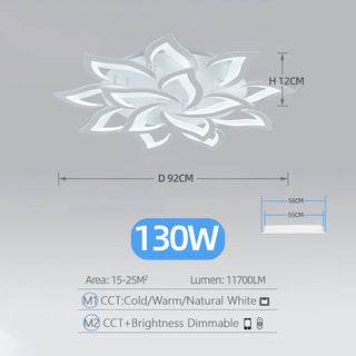 Acrylic Ceiling Light – Modern Dimmable Surface Mount Fixture for Living Room Lighting