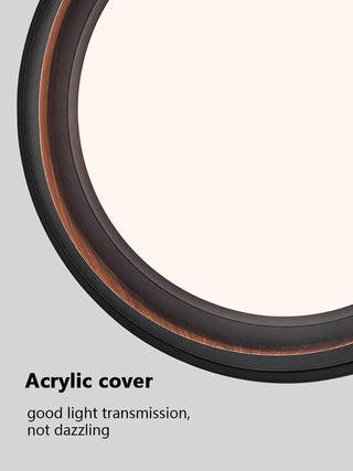 Modern Iron Ceiling Light – Integrated LED Surface Mount Fixture for Interior Lighting