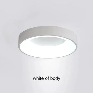 Round Metal Ceiling Light – Modern LED Fixture With Remote Control & Dimmable Brightness