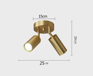 Golden LED Ceiling Light – Minimalist Aluminium Gold Finish Double Head Lamp