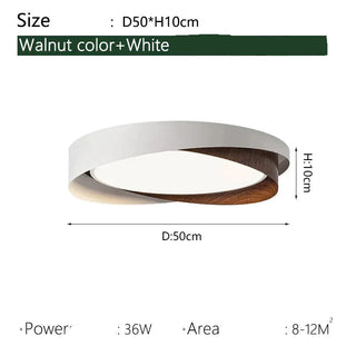 Modern Iron Ceiling Light – Integrated LED Surface Mount Fixture for Interior Lighting