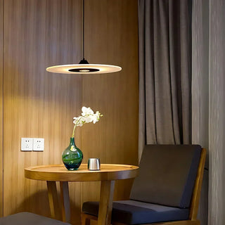 Modern Pendant Lamp – Acrylic Aluminum Disc Light | LED Dual Source, Warm Neutral Cool