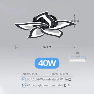 Acrylic Ceiling Light – Modern Dimmable Surface Mount Fixture for Living Room Lighting