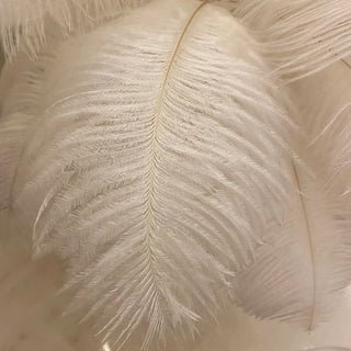 Feather Table Lamp – Decorative Ostrich Feather Lamp with Touch Control Lighting
