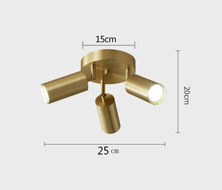 Golden LED Ceiling Light – Minimalist Aluminium Gold Finish Double Head Lamp