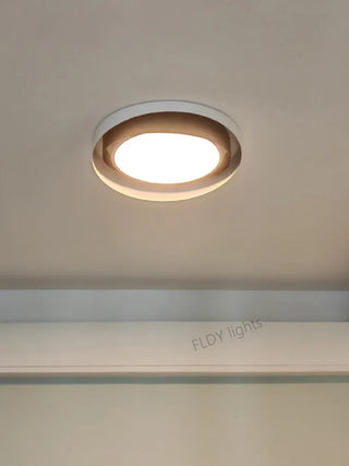 Modern Iron Ceiling Light – Integrated LED Surface Mount Fixture for Interior Lighting