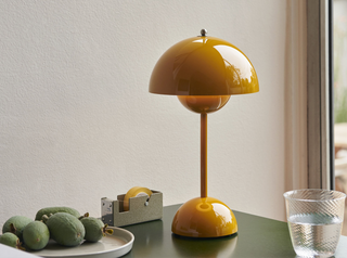 Cordless USB flowerpot lamp — touch dimmer warm glow