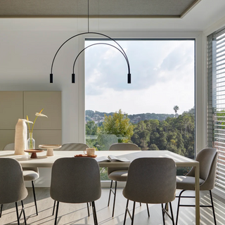 Black curved pendant lamp in interior — aluminium head ceiling fixture
