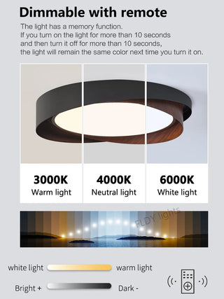 Modern Iron Ceiling Light – Integrated LED Surface Mount Fixture for Interior Lighting