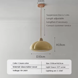 Modern Pendant Light – Elegant Light Fixture | Stylish Small Surface Pendant
