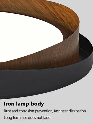 Modern Iron Ceiling Light – Integrated LED Surface Mount Fixture for Interior Lighting