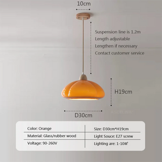 Modern Pendant Light – Elegant Light Fixture | Stylish Small Surface Pendant