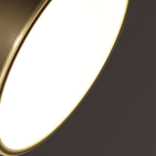 Copper finish ceiling lamp with acrylic shade, modern fixture