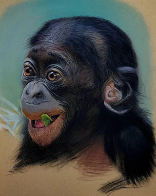 baby chimpanzee realist pastel portrait sennelier card framed side view