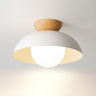 Semi-flush eco-friendly metal ceiling light, modern minimalist
