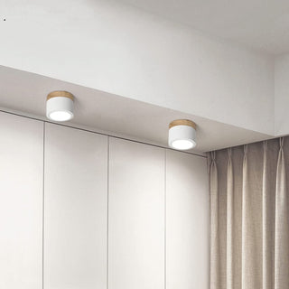 Aluminum mini cylinder ceiling lamp, modern flush mount