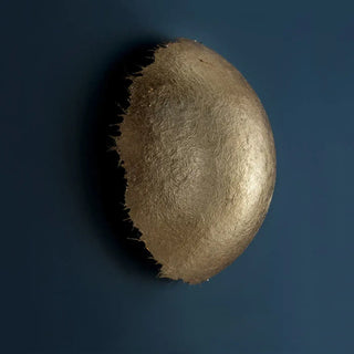 Modern organic wall sconce gold finish acrylic LED detail