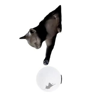 Black cat wall lamp 2-light – modern art design sconce