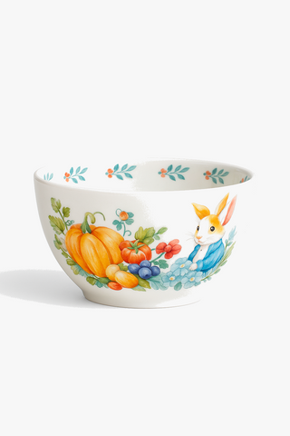 ceramic dinner plate