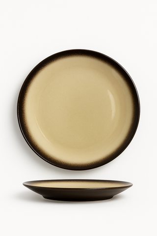 japanese ceramic dinner plate
