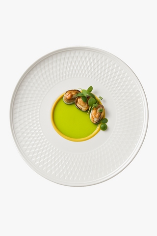 ceramic dinner plate