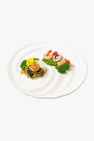 ceramic dinner plate
