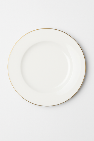 ceramic dinner plate