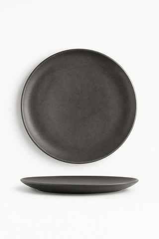 vintage stainless steel dinner plate