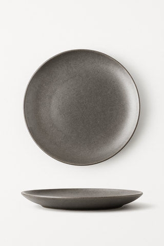 vintage stainless steel dinner plate