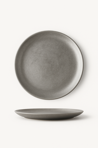 vintage stainless steel dinner plate
