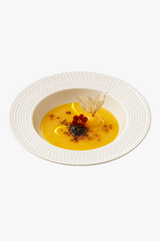 ceramic soup plate