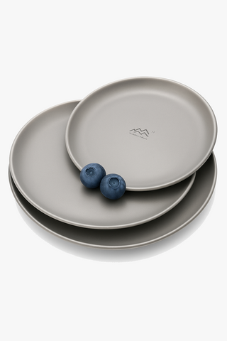 ceramic dinner plate
