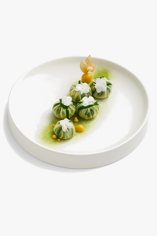 japanese ceramic dinner plate
