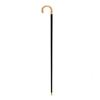 Gold handle polished wood shaft handmade Italian designer luxury walking cane close-up