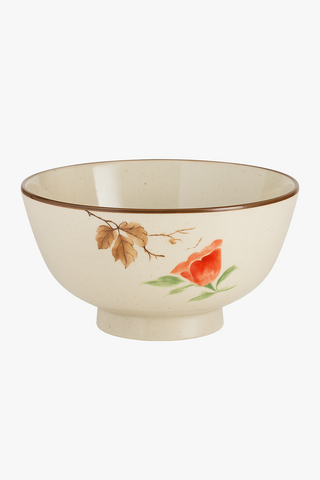 chinese ceramic bowl