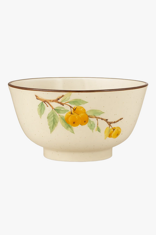 chinese ceramic bowl