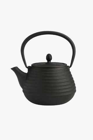 japanese cast iron kettle with infuser