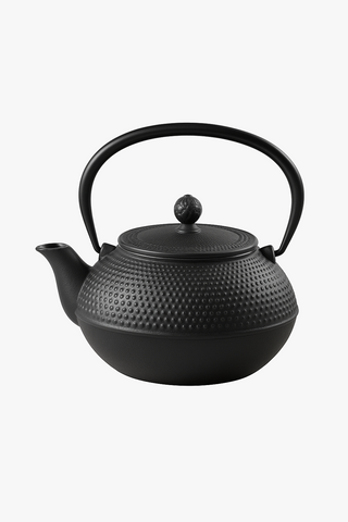 chinese cast iron kettle with filter