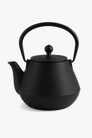 japanese cast iron kettle with infuser