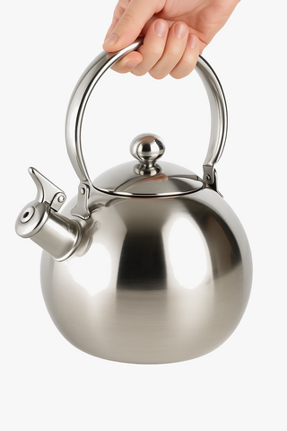 stainless steel kettle with infuser