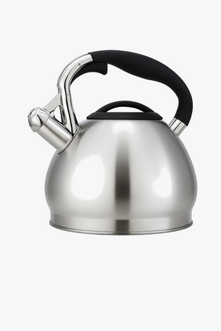 whistling stainless steel kettle