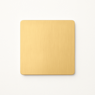 Brushed Gold steel blank socket cover