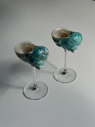 conch shell goblet decor