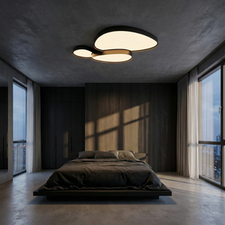 Black Iron Ceiling Light – Modern LED Surface Mount Fixture for Living Room