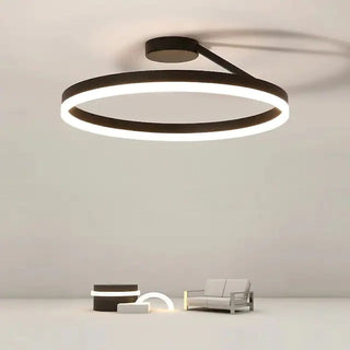 Adjustable brightness Nordic ceiling light, modern circle LED
