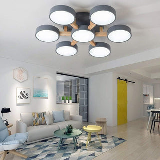 Acrylic Ceiling Light – Modern Multi-Head Fixture with Diffused Acrylic Heads