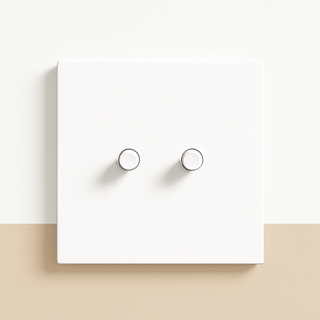 matte white steel 2-gang light switch